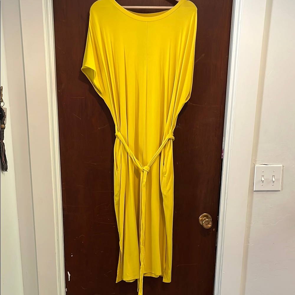 Universal Standard Belted Divine Jersey Dress